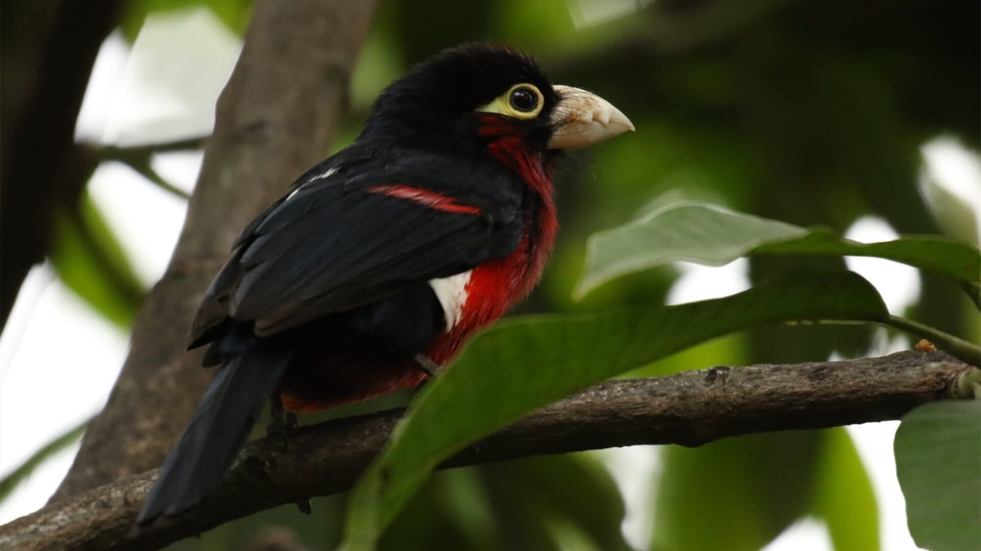 乐鱼体育app下载地址-体育新闻中心发布体育新闻行业标准化建设方案,体育新闻标题怎么写