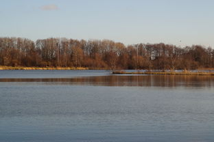 乐鱼体育平台官网-“东安湖体育公园迎来跑酷明星,挑战全新极限”